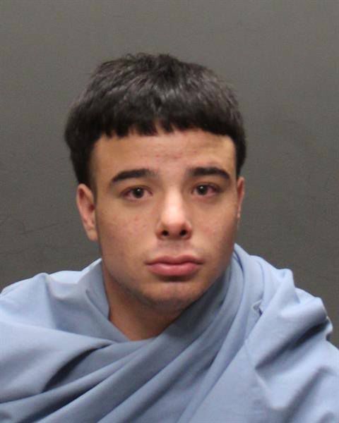 Mug shots 2017